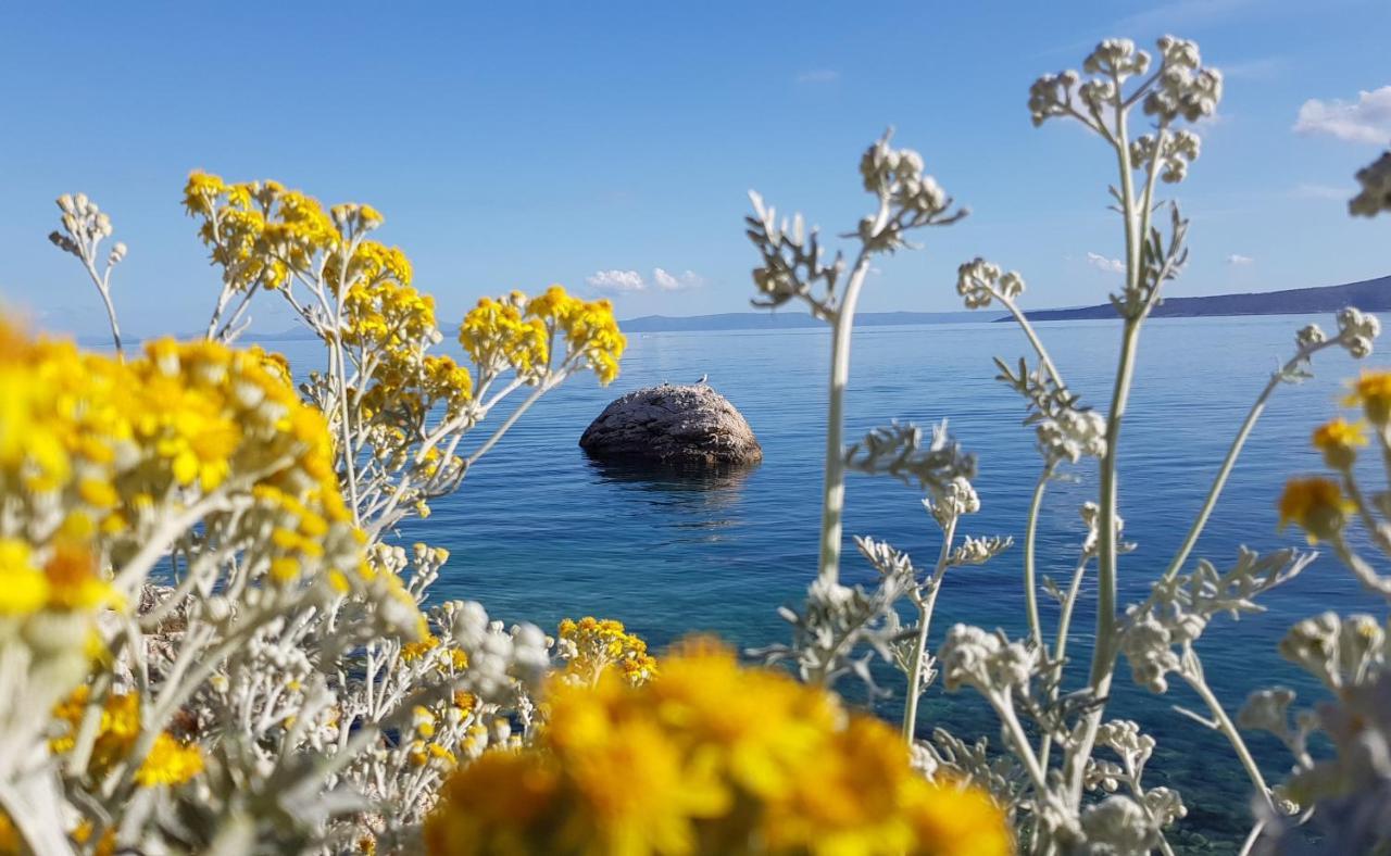 Villa Skalinada With Sea View Брела Екстер'єр фото